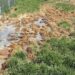 Firmă de procesare a laptelui din Suceava, amendată cu 40.000 de lei pentru evacuarea neconformă a apelor uzate tehnologice