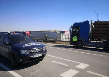 Bilanțul lunii aprilie: Garda Forestieră Suceava a confiscat 613 metri cubi de material lemnos, în valoare de peste 226.000 de lei