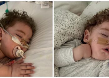 Strigătul polițistului Dani Cek pentru viața Mariei, fetița de 1 an și 4 luni operată de trei ori pe inimă. Mai lipsesc 112.000 de euro