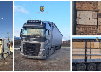 Polițiștii suceveni au confiscat aproape 50 de metri cubi de material lemnos. Ansamblul de vehicule, în valoare de 100.000 de euro, folosit la transportul ilegal, a fost indisponibilizat