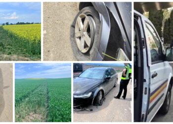 ”Țărănuș” cu ifose de Fast & Furious, urmărit cu focuri de armă prin două județe și prins într-un lan de rapiță. Totul a pornit într-o benzinărie din Suceava, unde și-a încordat mușchii