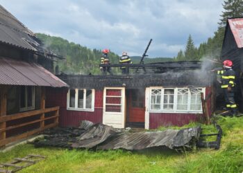 Pompierii au intervenit cu trei autospeciale pentru stingerea unui incendiu izbucnit la o gospodărie din Frasin