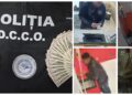 Percheziții la Vatra Dornei într-un dosar privind plasarea pe piață a peste 800 de bancnote false de 50 de dolari