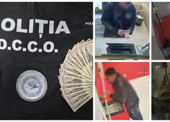 Percheziții la Vatra Dornei într-un dosar privind plasarea pe piață a peste 800 de bancnote false de 50 de dolari