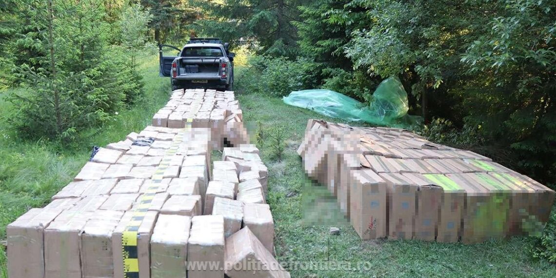 Țigări în valoare de peste 1,7 milioane de lei, descoperite ascunse într-o pădure din Ulma