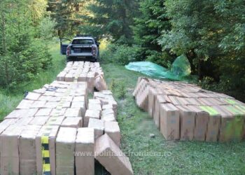 Țigări în valoare de peste 1,7 milioane de lei, descoperite ascunse într-o pădure din Ulma