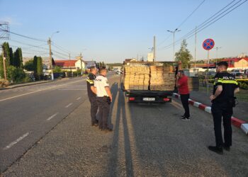 Transport ilegal de cherestea, descoperit în zona Jumbo. Autoutilitara folosită a fost indisponibilizată