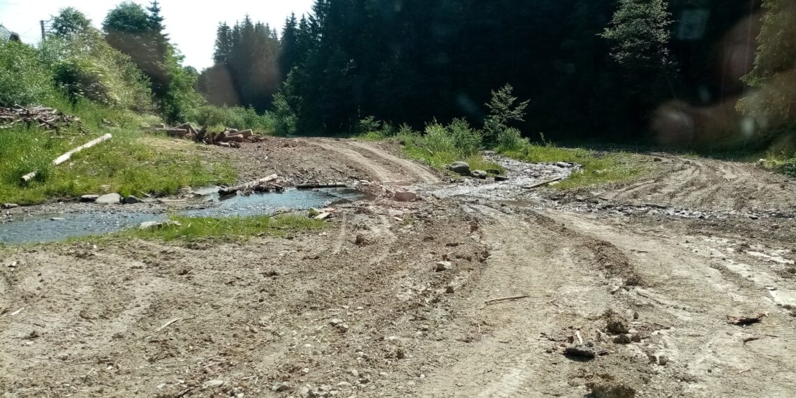 Garda de Mediu Suceava a amendat cu 8.000 lei o firmă care exploata lemn în zona Frumosu. Lemnul era depozitat ilegal lângă un curs de apă