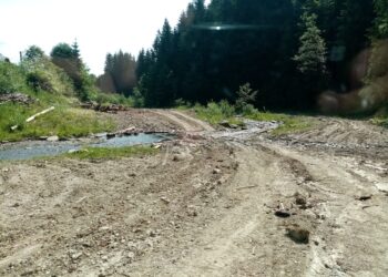 Garda de Mediu Suceava a amendat cu 8.000 lei o firmă care exploata lemn în zona Frumosu. Lemnul era depozitat ilegal lângă un curs de apă