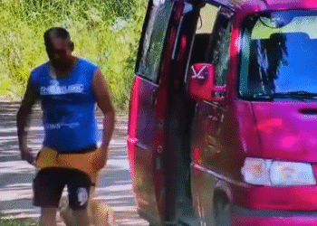 Amendă de 12.000 de lei pentru un bărbat care a abandonat patru pisici pe raza localității Berchișești