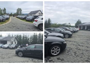 Descindere în forță la o firmă care vindea mașini second-hand în Poieni-Solca. Polițiștii au ridicat acte false, 40 de mașini, iar patronul a fost reținut pentru 24 de ore