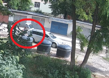 Bărbat din Stroiești, amendat cu 12.000 lei după ce a aruncat la buncăr un sac de rafie în care se afla o pisică. Gestul revoltător s-a petrecut în cartierul Burdujeni din Suceava