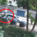 Bărbat din Stroiești, amendat cu 12.000 lei după ce a aruncat la buncăr un sac de rafie în care se afla o pisică. Gestul revoltător s-a petrecut în cartierul Burdujeni din Suceava