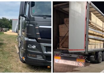Ansamblul rutier reclamat de ”Străjerii Pădurilor” transporta ilegal 3,15 metri cubi de cherestea. Aceeași remorcă a fost depistată transportând ilegal cherestea în luna mai, în județul Bacău