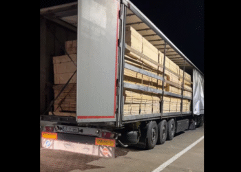 Activiștii „Străjerii Pădurilor” au scos la iveală un nou transport suspect de lemn în Suceava. Șoferul și firma controversată au fost amendați cu 28.000 lei: ”Îl salutăm pe pădurarul din spatele acestui transport de lemn”
