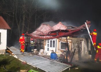 Incendiu într-o gospodărie din Gulia, provocat de cablul defect al frigiderului. Un bărbat a suferit arsuri la mână și la gât, dar a refuzat transportul la spital