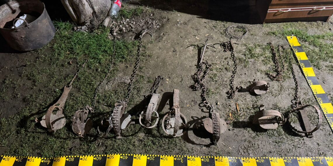 Percheziții la vânători autorizați care vânau ilegal cu sprijinul unui paznic. Arme, muniție și capcane metalice confiscate