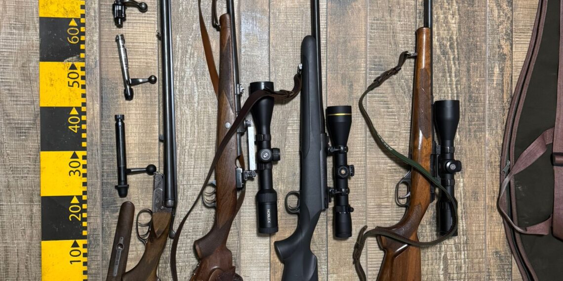 Percheziții la vânători autorizați care vânau ilegal cu sprijinul unui paznic. Arme, muniție și capcane metalice confiscate