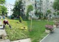 ”Scatoalcă” pentru Primăria Suceava. Tribunalul Suceava suspendă HCL privind întreținerea spațiilor verzi. Proprietarii nu mai sunt obligați să cosească domeniul public
