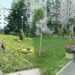 ”Scatoalcă” pentru Primăria Suceava. Tribunalul Suceava suspendă HCL privind întreținerea spațiilor verzi. Proprietarii nu mai sunt obligați să cosească domeniul public