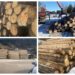 Acțiune de amploare în domeniul silvic în zonele Broșteni și Mălini. Aproape 200 de metri cubi de lemn confiscat, 14 sancțiuni contravenționale și un dosar penal pentru fapte ilicite în domeniul silvic