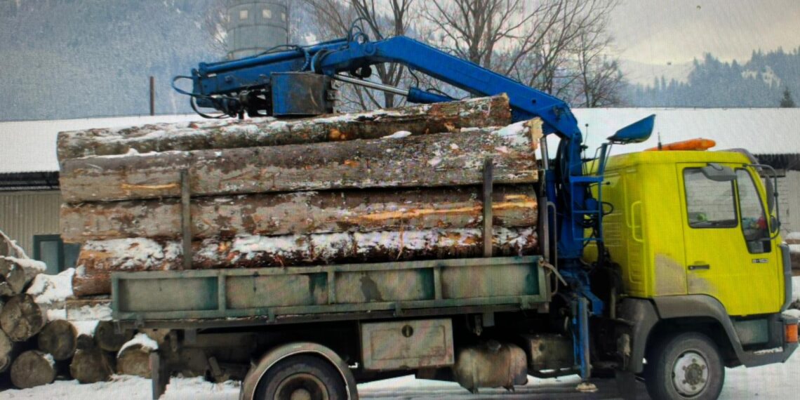 Transport ilegal de lemn descoperit la Pojorâta. Polițiștii au confiscat materialul lemnos și au indisponibilizat autoutilitara