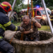 Un bărbat din Mălini a scăpat cu viață după ce a căzut 6 metri într-o fântână. Un capac de beton a cedat sub el