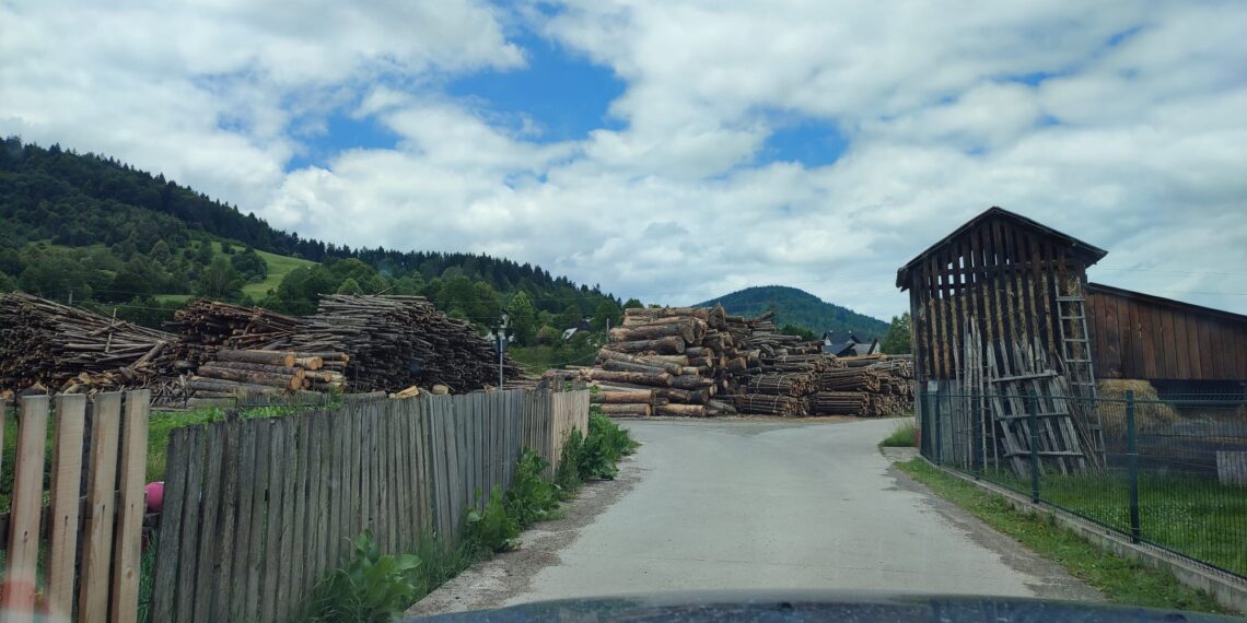 Garda Forestieră Suceava anunță că și-a ”încordat mușchii” împotriva jafurilor din păduri. Numărul controalelor, aproape dublu în februarie față de ianuarie