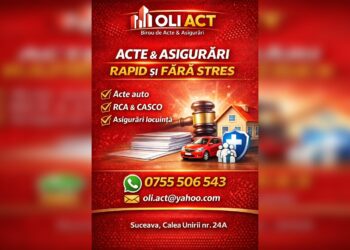 Acte auto, RCA, CASCO și asigurări de locuință în Suceava. Biroul Oli Act îți rezolvă rapid toate documentele