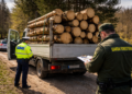 Furt mascat prin acte la Dolhasca. Lemne ”dispărute” pe drum, autoutilitară confiscată