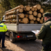 Furt mascat prin acte la Dolhasca. Lemne ”dispărute” pe drum, autoutilitară confiscată