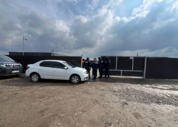 Percheziții la adăpostul de animale din Berchișești într-un dosar privind uciderea cu intenție a animalelor fără drept. Polițiștii au ”vizitat” și o locuință privată