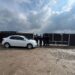 Percheziții la adăpostul de animale din Berchișești într-un dosar privind uciderea cu intenție a animalelor fără drept. Polițiștii au ”vizitat” și o locuință privată