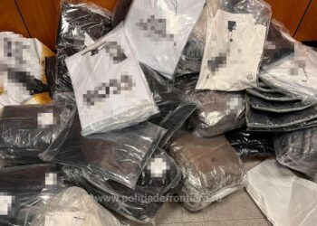 Parfumuri și articole vestimentare contrafăcute, în valoare de circa 100.000 de lei, depistate într-un microbuz ucrainean în PTF Siret