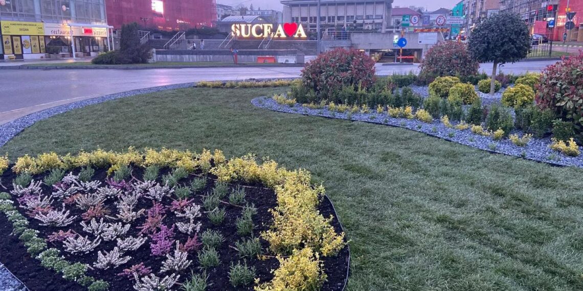 Primăria Suceava dă startul plantărilor. Circa 27.000 de flori vor colora orașul