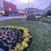 Primăria Suceava dă startul plantărilor. Circa 27.000 de flori vor colora orașul