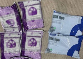 Un sucevean s-a pricopsit cu dosar penal după ce a fost prins cu erbicid și fungicide din Ucraina în PTF Siret