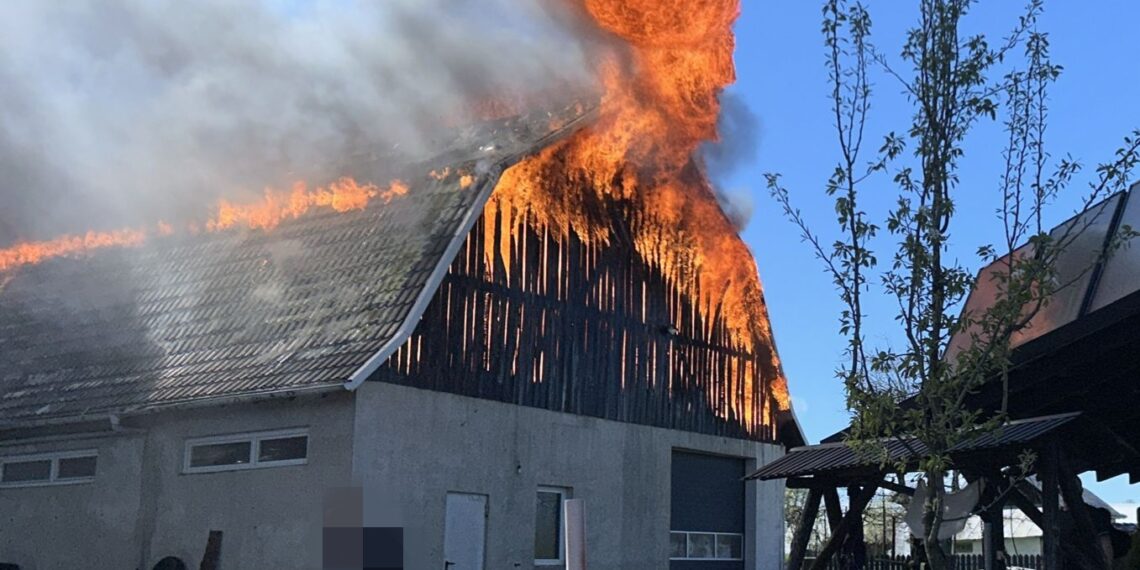 Incendiu violent la Mitocu Dragomirnei. O hală și un adăpost de animale au fost cuprinse de flăcări. O femeie de 36 de ani, transportată la spital cu arsuri pe 35–40% din suprafața corpului