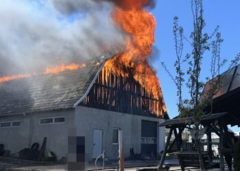 Incendiu violent la Mitocu Dragomirnei. O hală și un adăpost de animale au fost cuprinse de flăcări. O femeie de 36 de ani, transportată la spital cu arsuri pe 35–40% din suprafața corpului