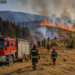 Intervenție dificilă pentru stingerea unui incendiu de vegetație într-o zonă împădurită din Moldovița. Un ”gospodar” a făcut scrum trei hectare de pășune încercând să igienizeze terenul