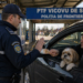 Un polițist de frontieră din PTF Vicovu de Sus a refuzat o mită de 50 de euro oferită pentru facilitarea intrării în țară cu un animal de companie