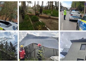 Peste 20 de intervenții ale pompierilor din Suceava, în doar câteva ore, din cauza codului portocaliu de vânt. Polițiștii atrag atenția asupra riscurilor generate de avertizarea meteorologică și transmit o serie de recomandări