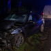Tânăr de 26 de ani, reținut după ce s-a îmbătat și a provocat un accident rutier la Marginea. Aghesmuitul a lovit o autoutilitară și s-a oprit cu BMW-ul într-un copac