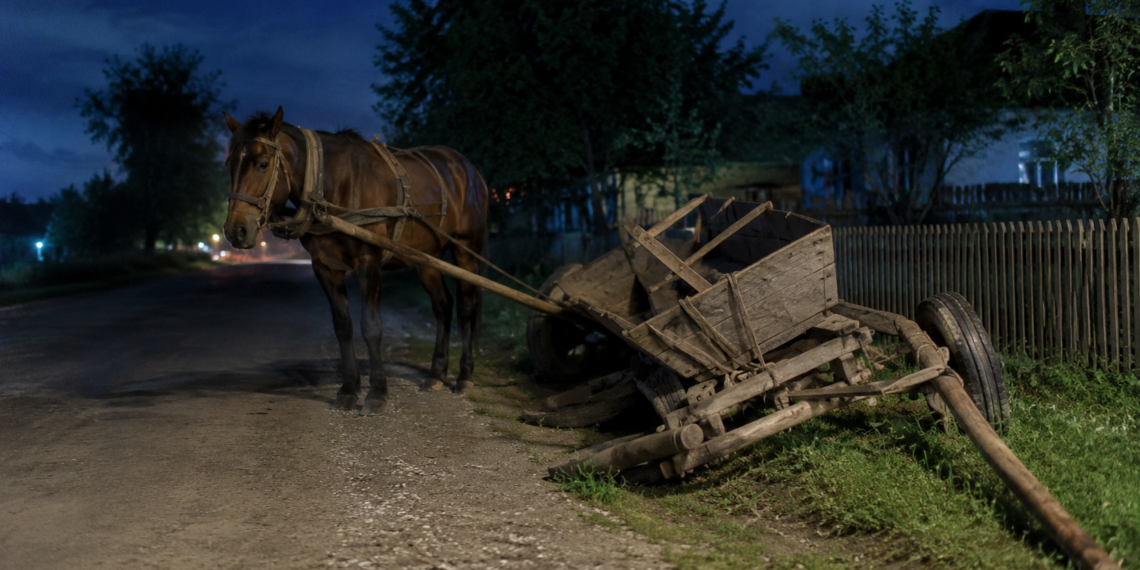 Un căruțaș care a băut zdravăn și-a spart capul după ce a căzut din atelaj. Polițiștii l-au sancționat contravențional