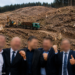 Mega-dosarul pădurii ”dispărute” din Vatra Moldoviței s-a terminat cu vești excelente pentru inculpați. Curtea de Apel Suceava i-a scăpat pe toți de pușcărie