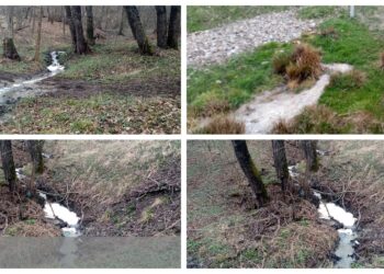 Firmă din industria lactatelor, amendată cu 60.000 de lei după ce a poluat un pârâu. Garda de Mediu ține la secret numele și localitatea