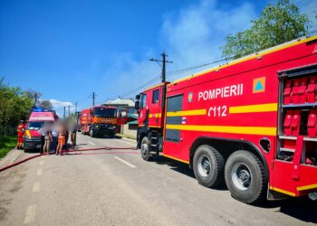 Incendiu la grădina zoologică din Zaharești. Proprietarul, în vârstă de 62 de ani, a suferit o intoxicație cu fum