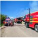 UPDATE! Ligrul de la Zaharești și un fazan au murit în incendiul izbucnit la grădina zoologică. Pompierii au reușit să salveze celelalte animale