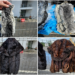 Peste 130 de piei de șinșilă și cinci haine din blană de nurcă, găsite ascunse în cabina unui camion, în PTF Vicovu de Sus. Șofer ucrainean, amendat și cercetat penal