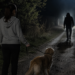 6 ani și 6 luni de închisoare pentru un zilier care a violat o tânără de 19 ani ce își plimba câinele prin Părhăuți